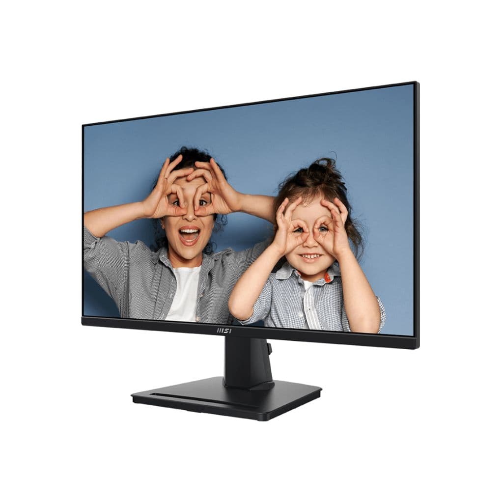 MSI PRO MP251 Monitor 24-inch price in Newpal