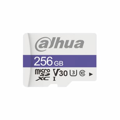 Dahua 256GB SD Card (DHI-TF- C100 microSD Memory Card)