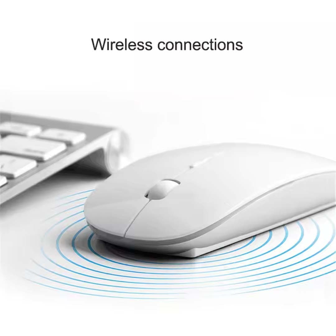 k snake w 200 mouse in nepal