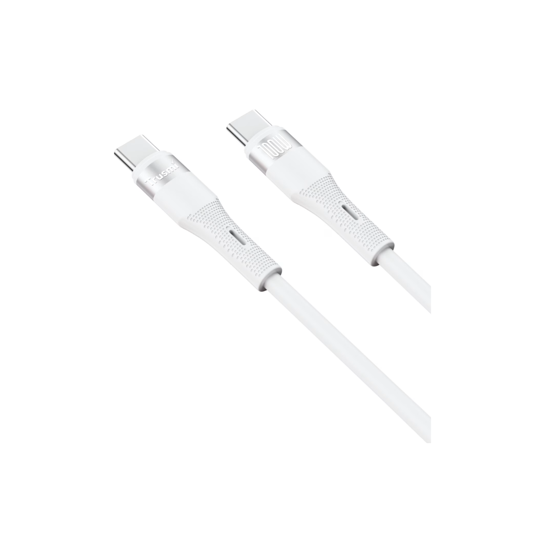 ca34-079-100w-usb-c-to usb c