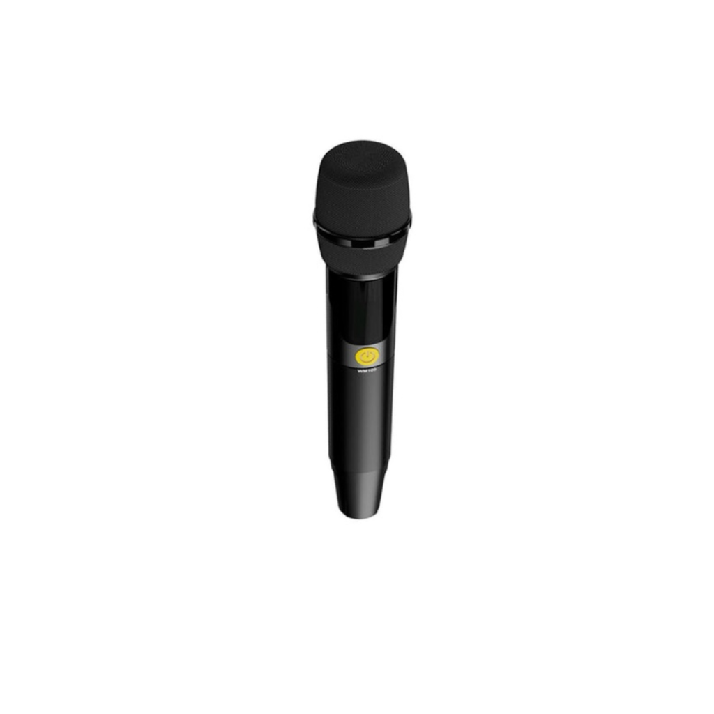 hifuture WM 100 mic